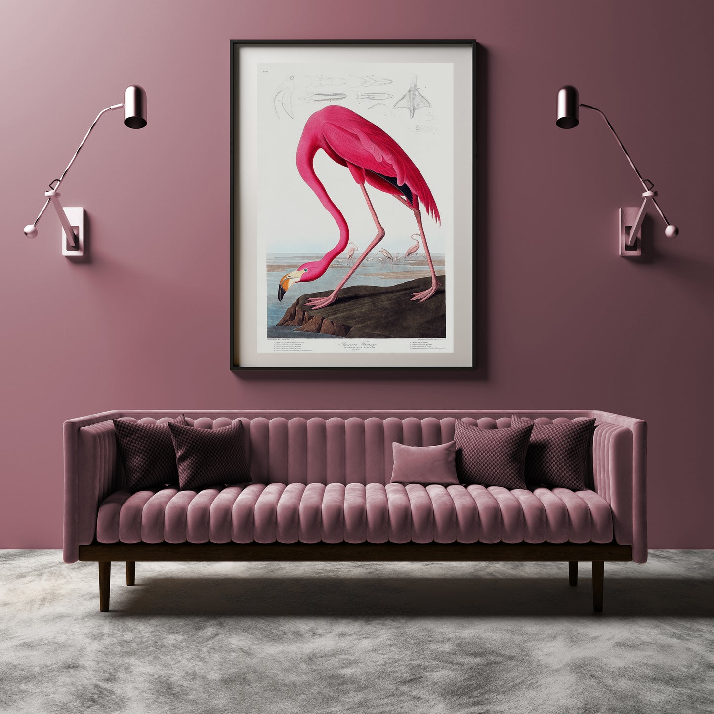 John James Audubon – American Flamingo (1838)