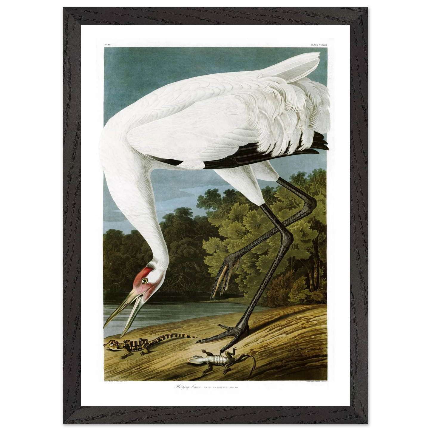 7b75ac0d-7cb1-46c1-be18-a7ac8162f300