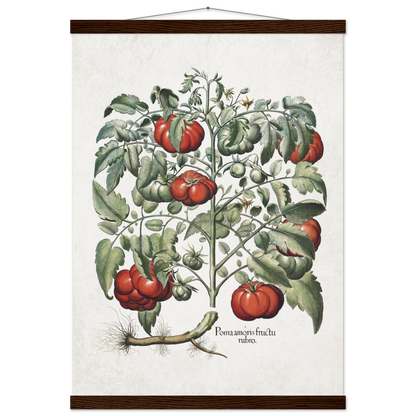 a2583f24-fdd9-4aac-aab3-cbedbd7fef63