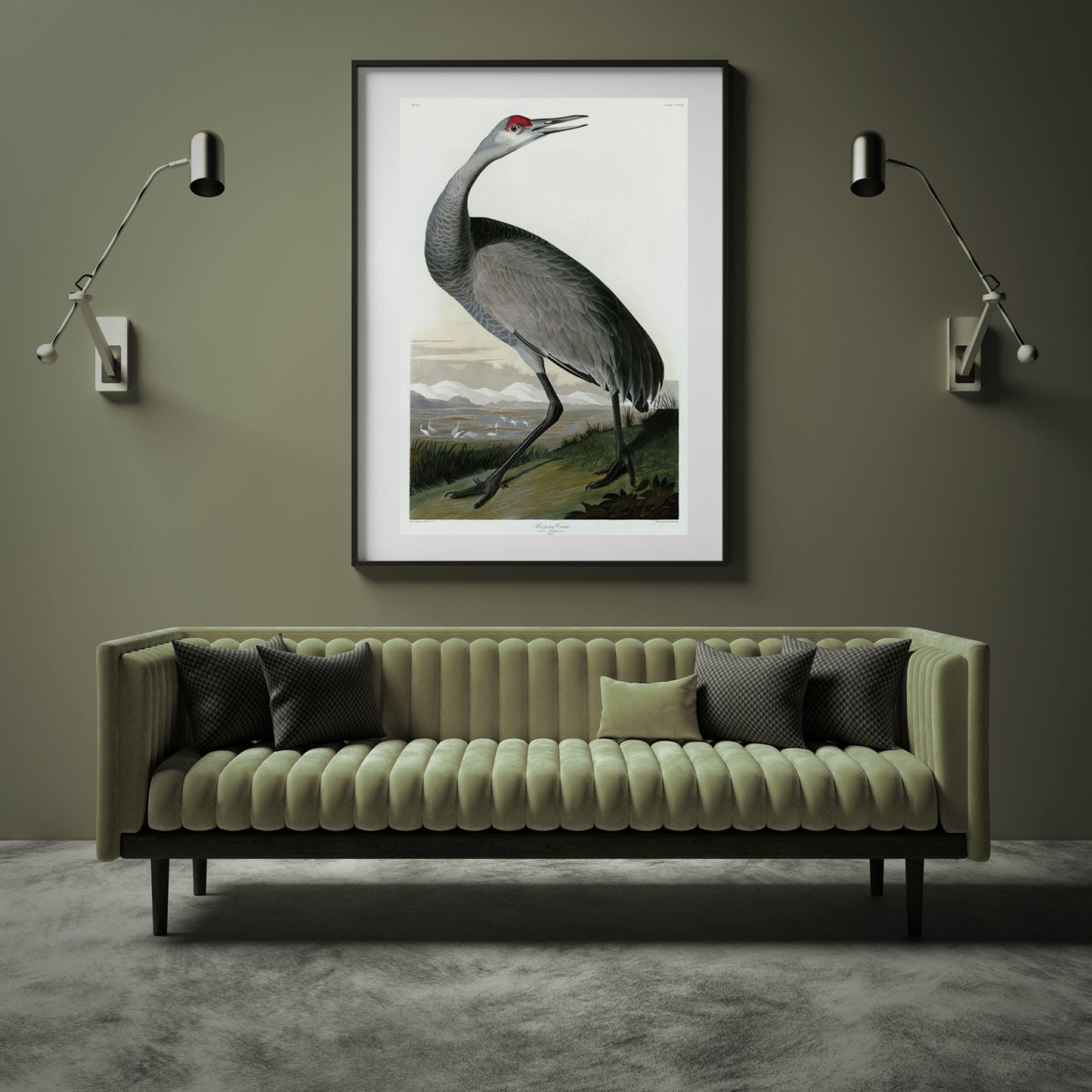 John James Audubon, Young Hooping Crane (1835)